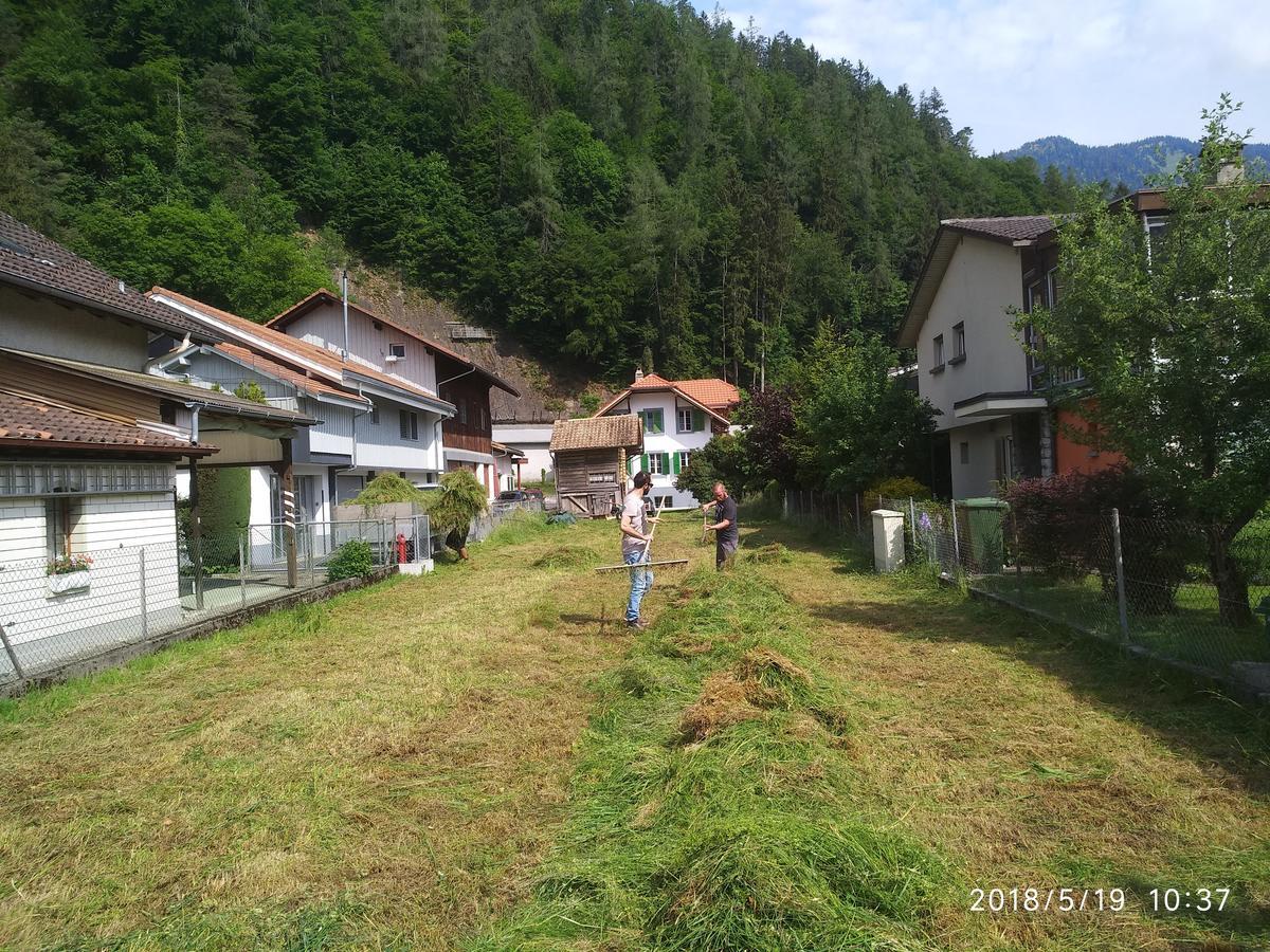 Jungfrau Family Holiday Home Matten bei Interlaken Εξωτερικό φωτογραφία